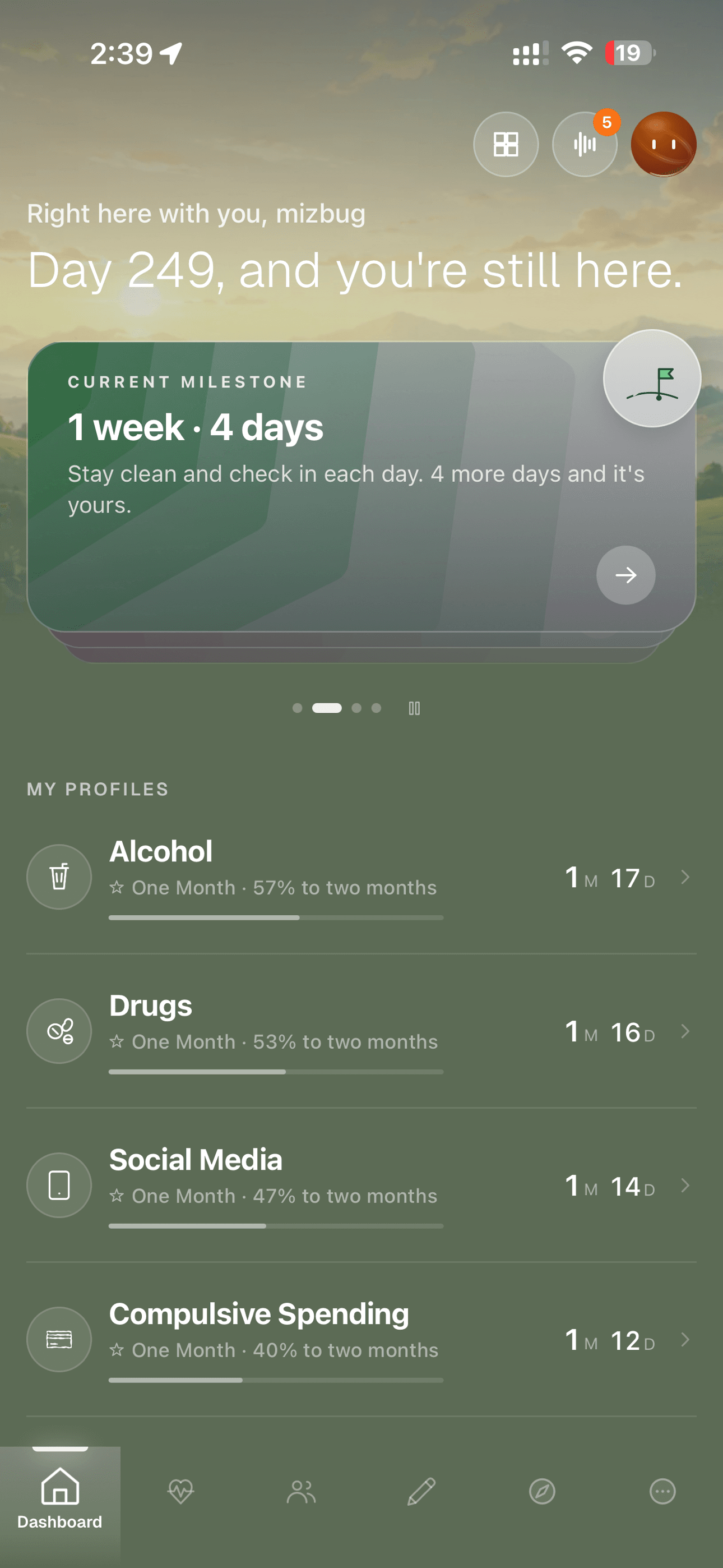 Renovyn dashboard